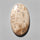 Agate|Palmroot