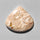 Agate|Palmroot