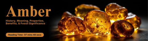 Amber: History, Meaning, Properties, Benefits, & Fossil Significance