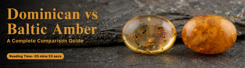 Dominican vs Baltic Amber: A Complete Comparison Guide