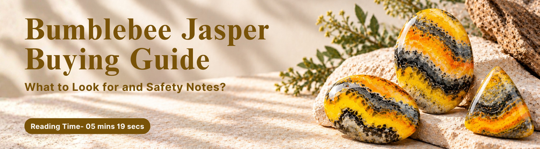 bumblebee jasper buying guide 