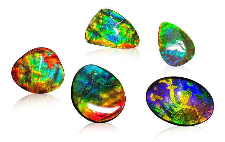 AMMOLITE