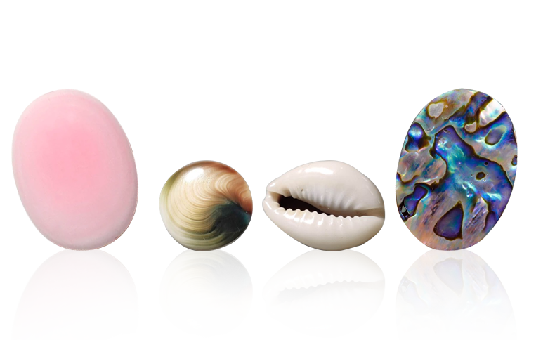 SHELL