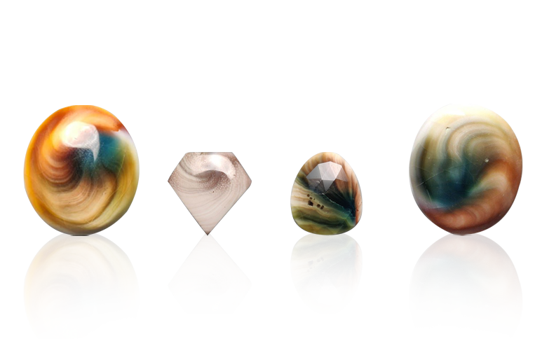 SHIVA EYE SHELL