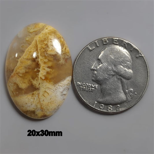 Agate|Plume Agate