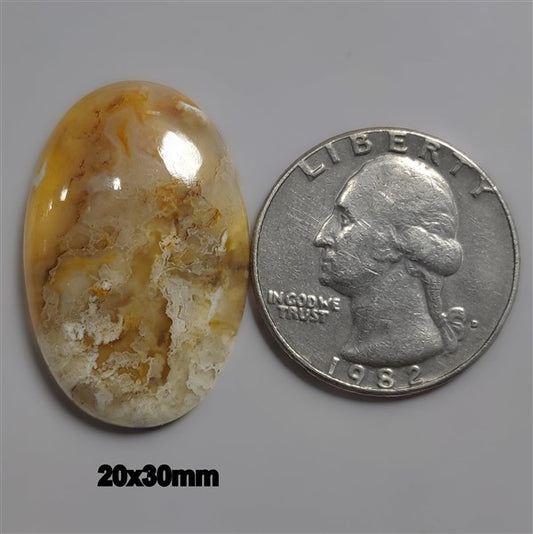 Agate|Plume Agate