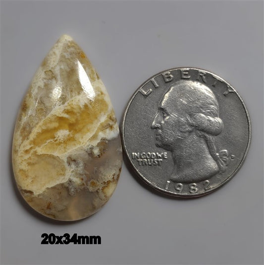 Agate|Plume Agate
