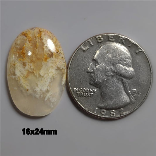 Agate|Plume Agate