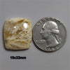 Agate|Plume Agate