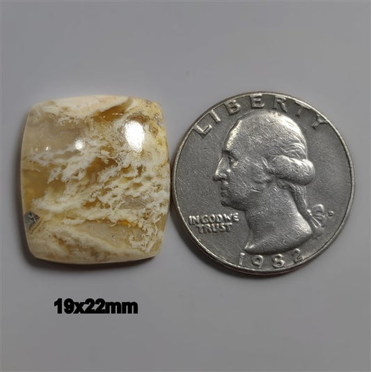 Agate|Plume Agate