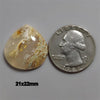 Agate|Plume Agate