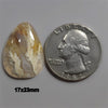 Agate|Plume Agate