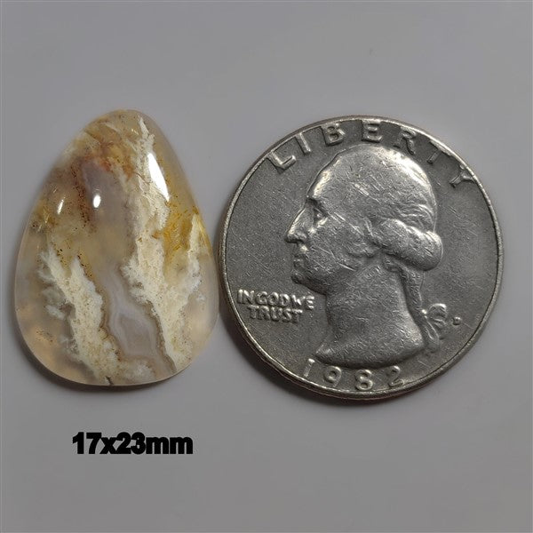 Agate|Plume Agate
