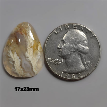 Agate|Plume Agate