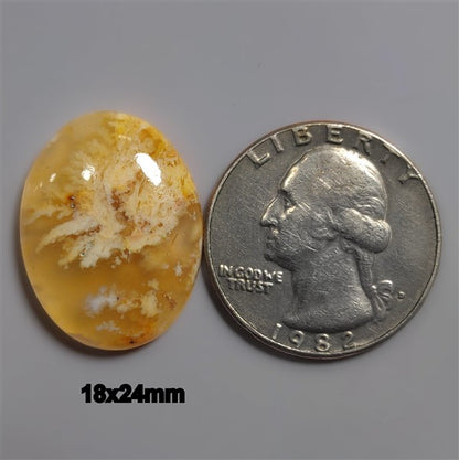 Agate|Plume Agate