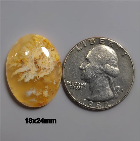 Agate|Plume Agate