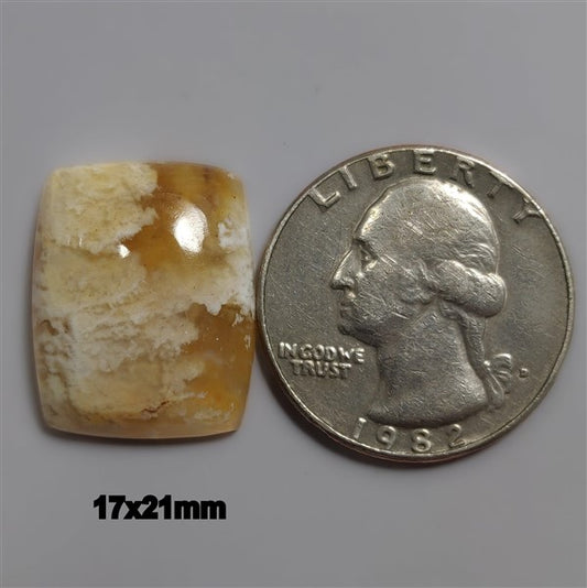 Agate|Plume Agate