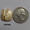 Agate|Plume Agate