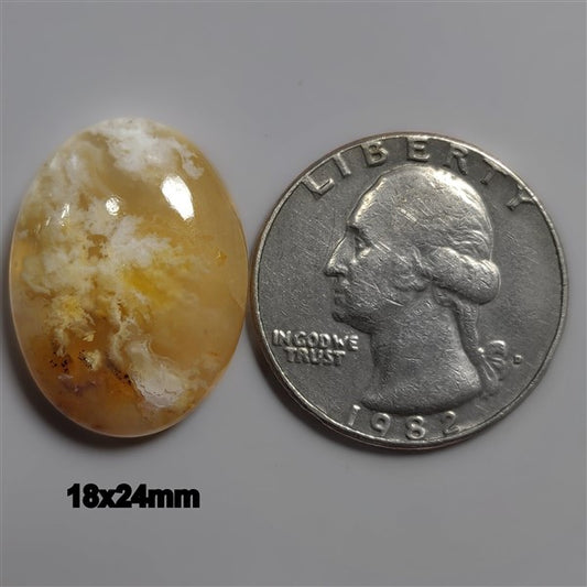 Agate|Plume Agate