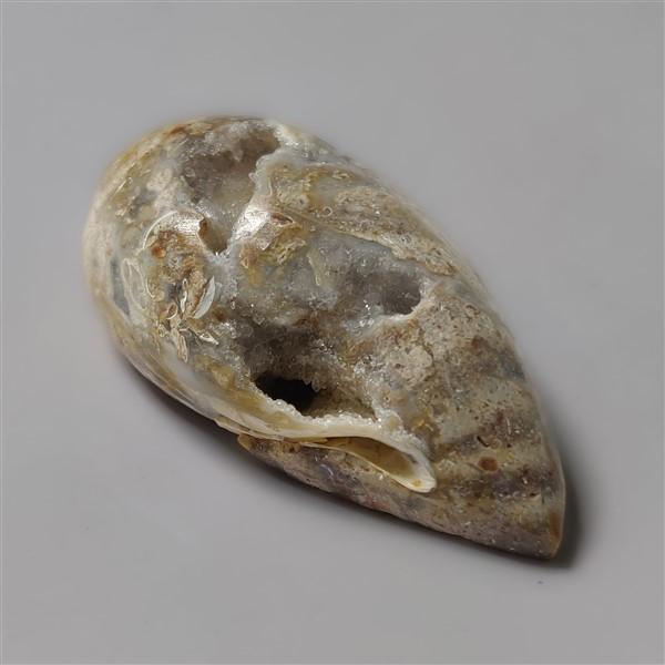 Shell