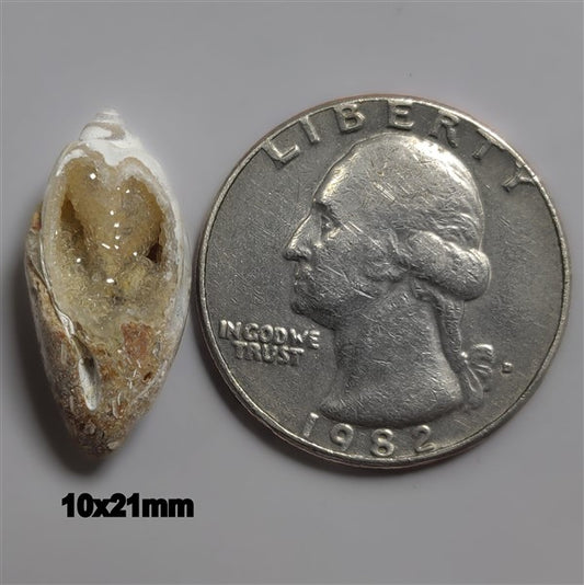 Shell