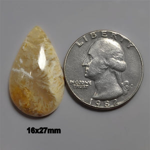 Graveyard Point Plume Agate