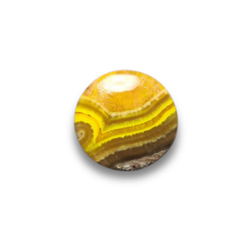 Bumble Bee Jasper
