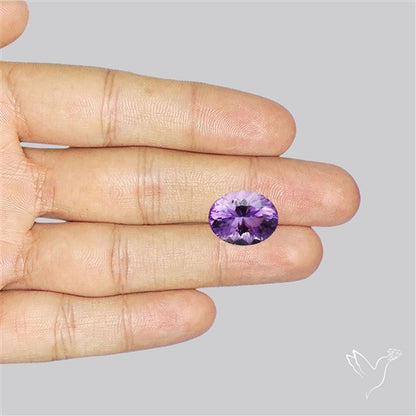Millenium Cut Faceted Amethyst Concave Cut