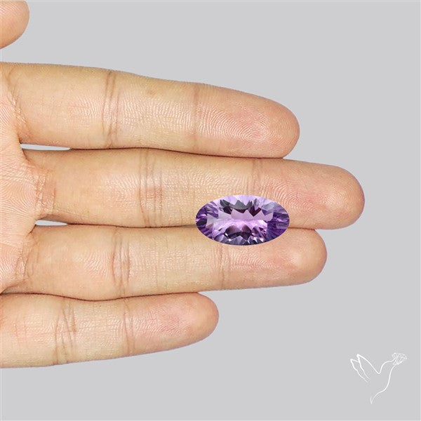 Millenium Cut Faceted Amethyst Concave Cut