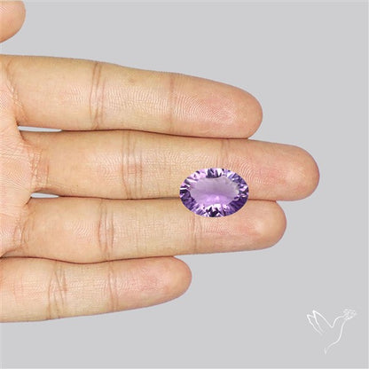 Millenium Cut Faceted Amethyst Concave Cut