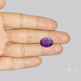 Millenium Cut Faceted Amethyst Concave Cut