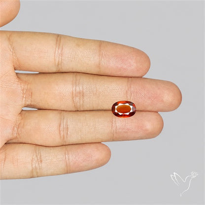 Ceylonese Hessonite Garnet High Grade Gem