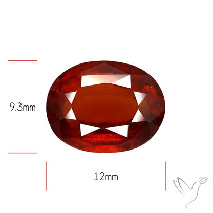Ceylonese Hessonite Garnet High Grade Gem