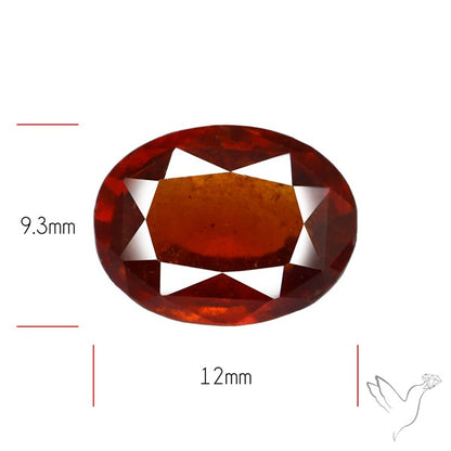 Ceylonese Hessonite Garnet High Grade Gem