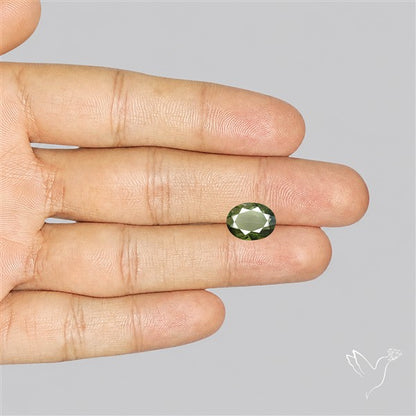 Czech Moldavite Rare Large Size Faceted