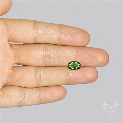 Czech Moldavite Rare Large Size Faceted