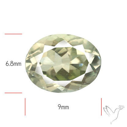 Rare Sillimanite Gemstone Faceted