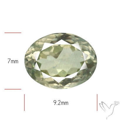 Rare Sillimanite Gemstone Faceted