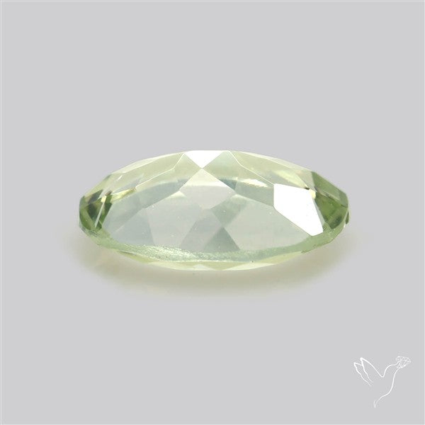 Rare Sillimanite Gemstone Faceted