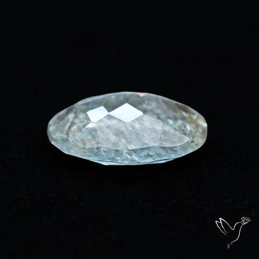 Moss Aquamarine with Rainbow Inclusions