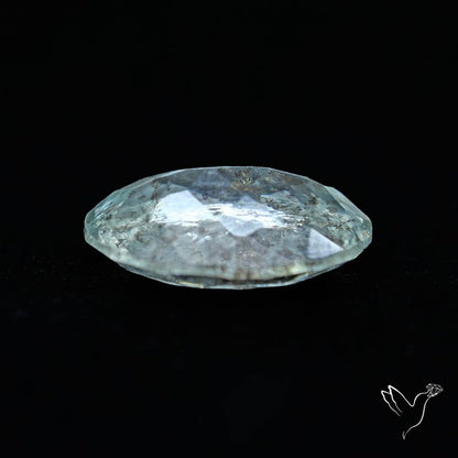 Moss Aquamarine with Rainbow Inclusions