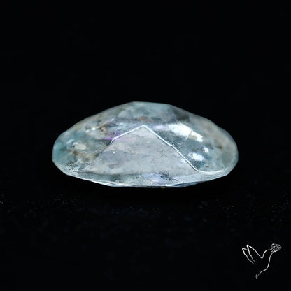 Moss Aquamarine with Rainbow Inclusions
