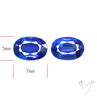 Faceted Blue Kyanite Pair