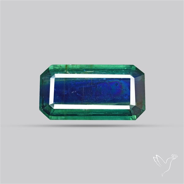 Rare Bi-color Kyanite Natural Blue Green Fine Gemstone