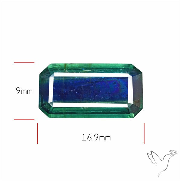 Rare Bi-color Kyanite Natural Blue Green Fine Gemstone