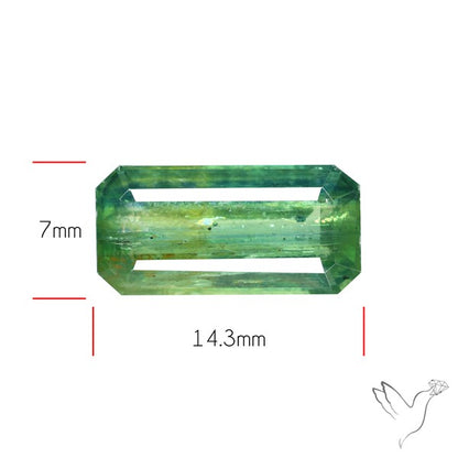 Faceted Green Kyanite Fine Gemstone