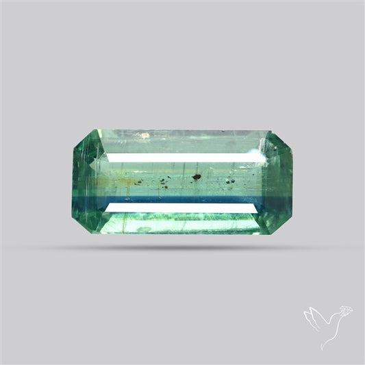 Rare Bi-color Kyanite Natural Blue Green Fine Gemstone