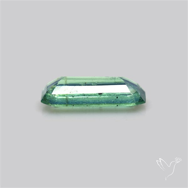 Rare Bi-color Kyanite Natural Blue Green Fine Gemstone