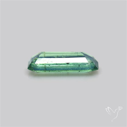 Rare Bi-color Kyanite Natural Blue Green Fine Gemstone