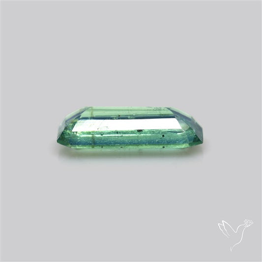 Rare Bi-color Kyanite Natural Blue Green Fine Gemstone
